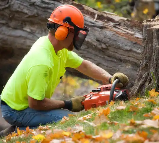 tree services Glasgow